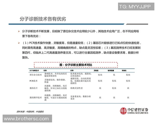 北京篮球队灵活性分析：战术变换与球员适应能力的深度探讨